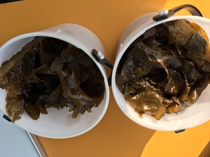 1522097705588.jpg