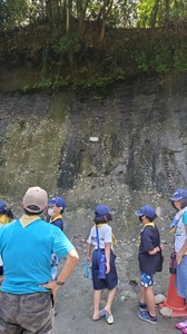 timeline_20210725_170026.jpg