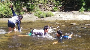 timeline_20210725_165135.jpg