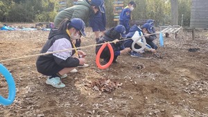 S__330260488.jpg